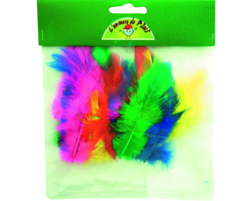 Pene decorative în diferite culori într-un pachet.