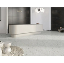 Cameră luminoasă cu podea de terrazzo și recepție