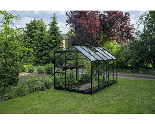 Seră grădină Halls Popular 106 sticlă securizată 3 mm 193x319 cm negru Seră în grădină cu plante și rafturi.