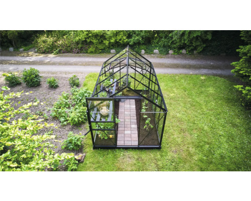 Seră cu plante în grădină