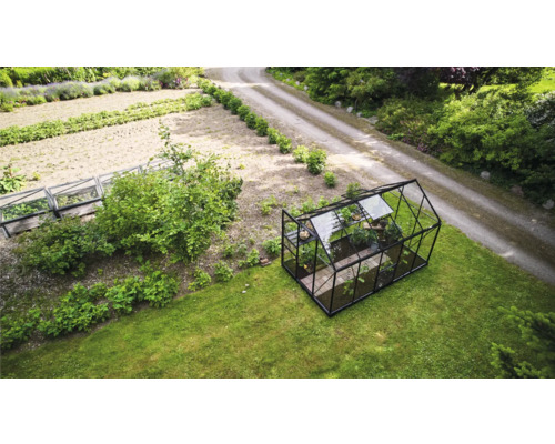 Seră în grădină cu gazon