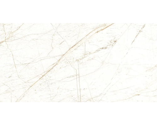 Placă de marmură deschisă la culoare cu vinișoare fine.