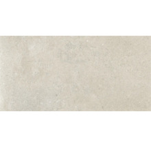 Model de faianță cu suprafață mată