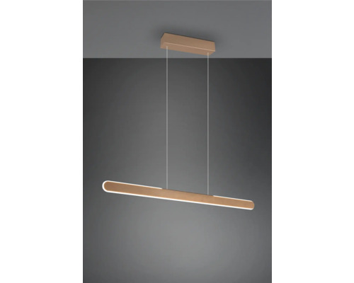 Corp de iluminat suspendat cu LED modern pentru interior