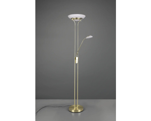 Lampă de podea cu lampă de citit și spot de tavan