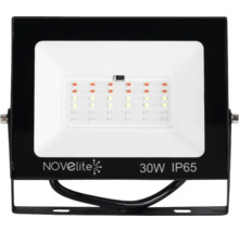 Reflector LED Novelite Logo 30 W IP65