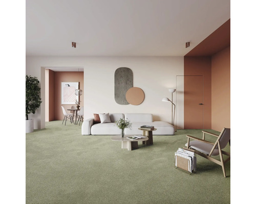 Cameră de zi cu covor verde, canapea și fotoliu