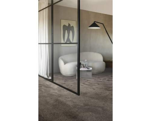 Living modern cu covor, canapea și decorațiuni