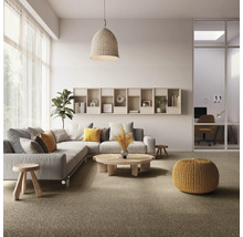 Living luminos cu canapea, măsuță de cafea, rafturi și decorațiuni pentru o atmosferă primitoare.
