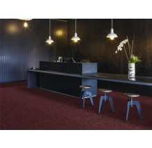 Birou cu mochetă, recepție și scaune de bar