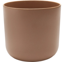 Ghiveci de flori pentru interior