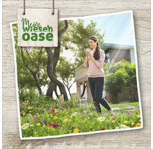 Ilustrație cu o femeie ținând o ceașcă într-o grădină cu o pajiște cu flori sălbatice