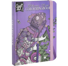 Carte de colorat cu motiv cameleon și două creioane colorate