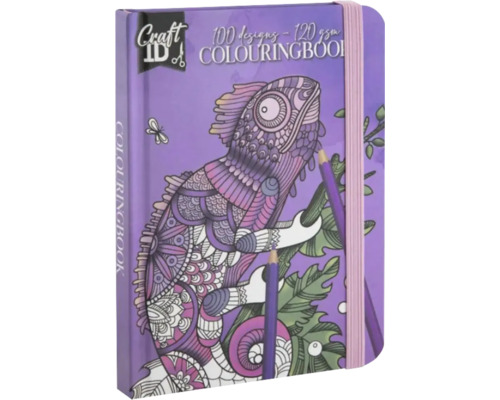 Carte de colorat cu motiv cameleon și două creioane colorate