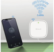 Priză de perete Tellur WiFi cu smartphone și simbol WiFi de 2,4 GHz