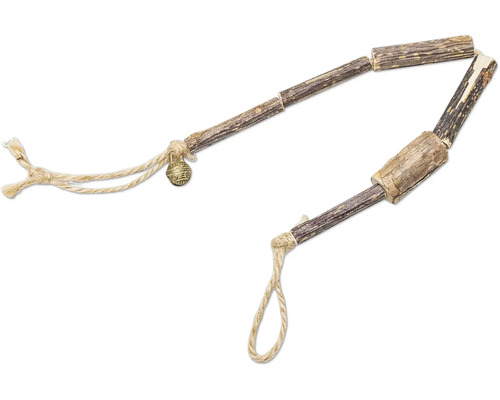 Două penisuri de cerb cu sfoară și clopoțel