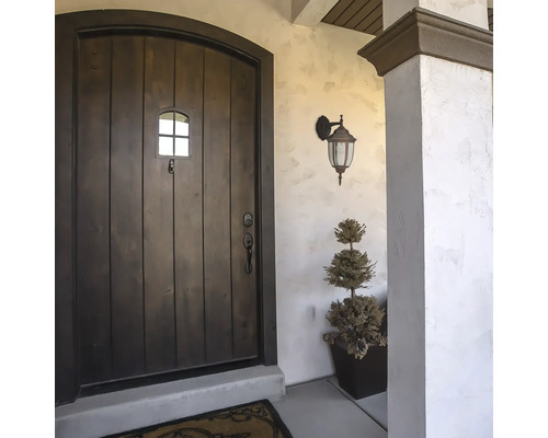 Zonă de intrare cu ușă de lemn, lampă de exterior și plantă decorativă