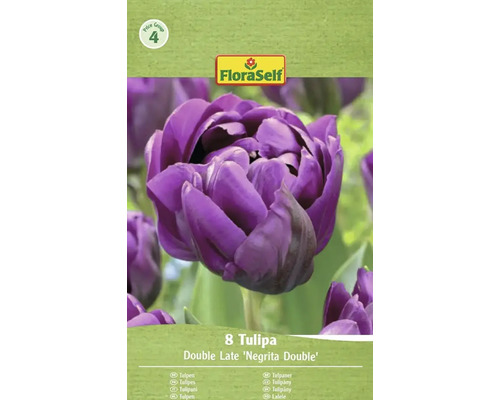 Pachet cu 8 lalele Double Late Negrita Double de la FloraSelf