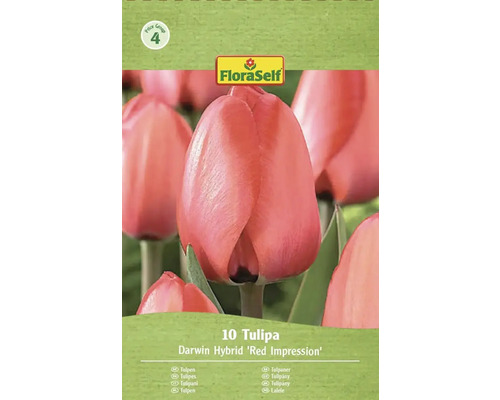 Pachet de lalele Darwin Hybrid Red Impression de la FloraSelf