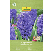 Pachet cu 5 zambile orientalis Dark Blue marca FloraSelf