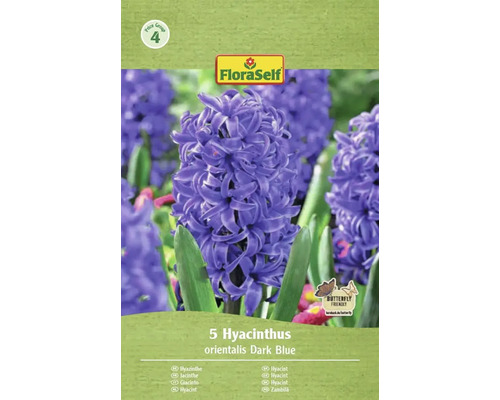 Pachet cu 5 zambile orientalis Dark Blue marca FloraSelf