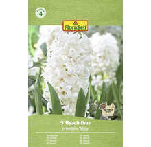 Pachet cu 5 zambile albe din specia orientalis de la FloraSelf