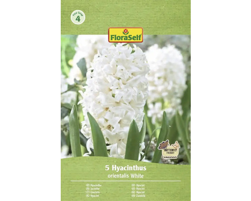 Pachet cu 5 zambile albe din specia orientalis de la FloraSelf