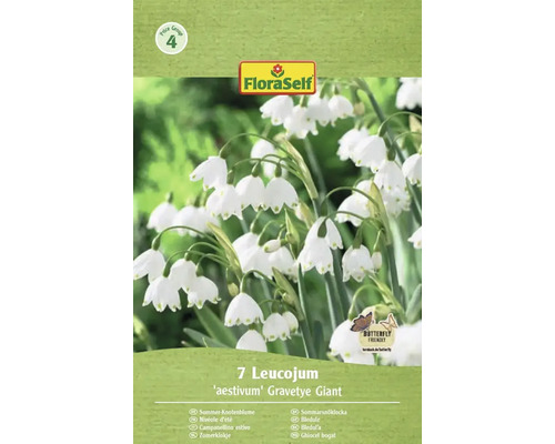 Pachet cu șapte ghiocei bogați de vară, soiul 'aestivum' Gravetye Giant, cu sigiliul Butterfly Friendly și logo-ul FloraSelf