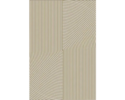 Covor modern 8884 Geo 120x170 cm Covor cu model abstract de linii