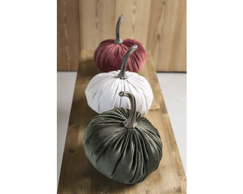 Dovleci decorativi de catifea în rând pe o scândură de lemn