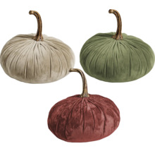 Dovleci decorativi din catifea, diferite culori