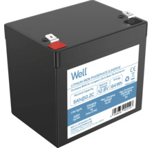 Baterie litiu-fier-fosfat 12,8 V