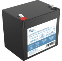 Baterie litiu-fier-fosfat cu tensiune nominală de 12,8 V