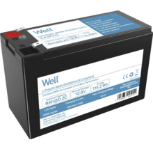 Baterie Well cu litiu fier fosfat cu 9 amperi oră și 12,8 volți