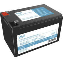 Baterie Well litiu-fier-fosfat cu capacitate nominală de 12 amperi-oră