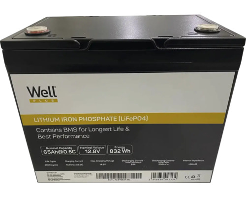Baterie litiu-fier-fosfat Well Plus cu 65 de amperi-oră și 12,8 volți