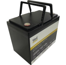 Baterie litiu-fier-fosfat Well Plus cu mânere