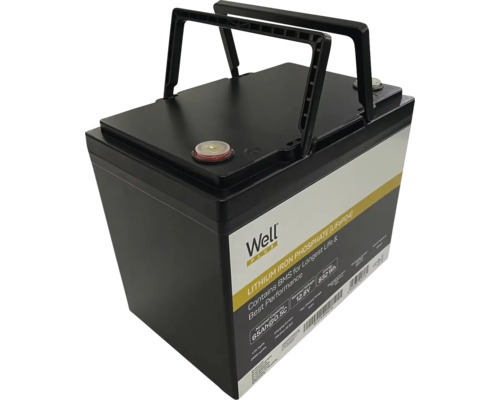 Baterie litiu-fier-fosfat Well Plus cu mânere