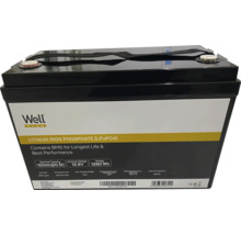 Baterie litiu-fier-fosfat cu 100 de amperi-oră și 12,8 volți