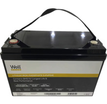 Baterie litiu-fier-fosfat cu mâner