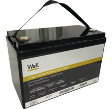 Baterie litiu-fier-fosfat cu 100 amperi-oră și mâner de transport