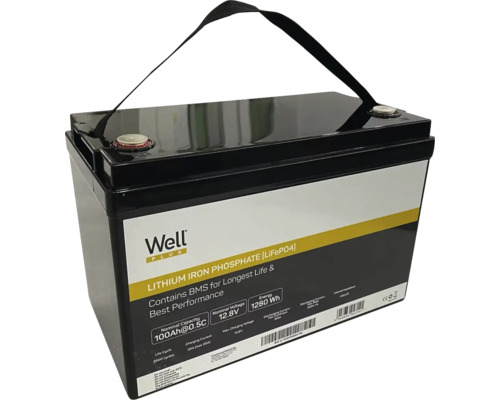 Baterie litiu-fier-fosfat cu 100 amperi-oră și mâner de transport