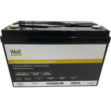 Baterie litiu-fier-fosfat cu o capacitate de 135 de amperi-oră