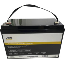 Baterie litiu fosfat de fier Well Plus cu mâner de transport