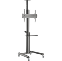 Stativ mobil pentru televizor cu raft