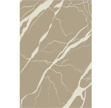 Prim-plan al unei suprafețe cu aspect de marmură și nervuri deschise