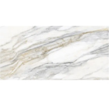 Model de faianță de marmură