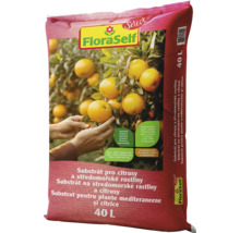 FloraSelf Substrat pentru citrice și plante mediteraneene, 40 litri