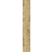 Placă ceramică aspect lemn cu aspect natural de lemn pentru interior