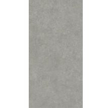 Faianță de perete gri cu aspect de piatră